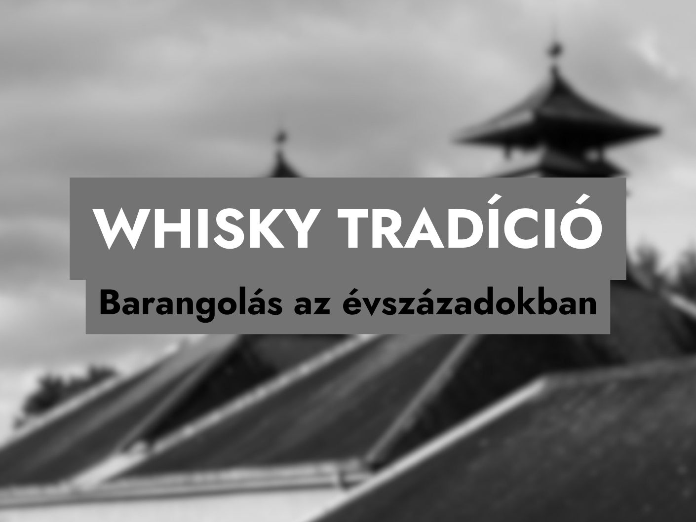 Whisky tradíció whiskykóstoló